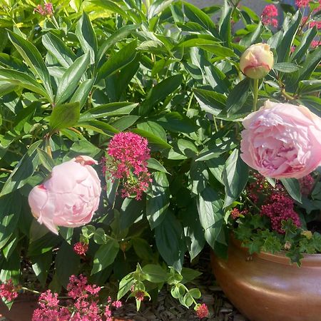 Logis Cote Jardin Villa Varennes-les-Narcy Екстериор снимка
